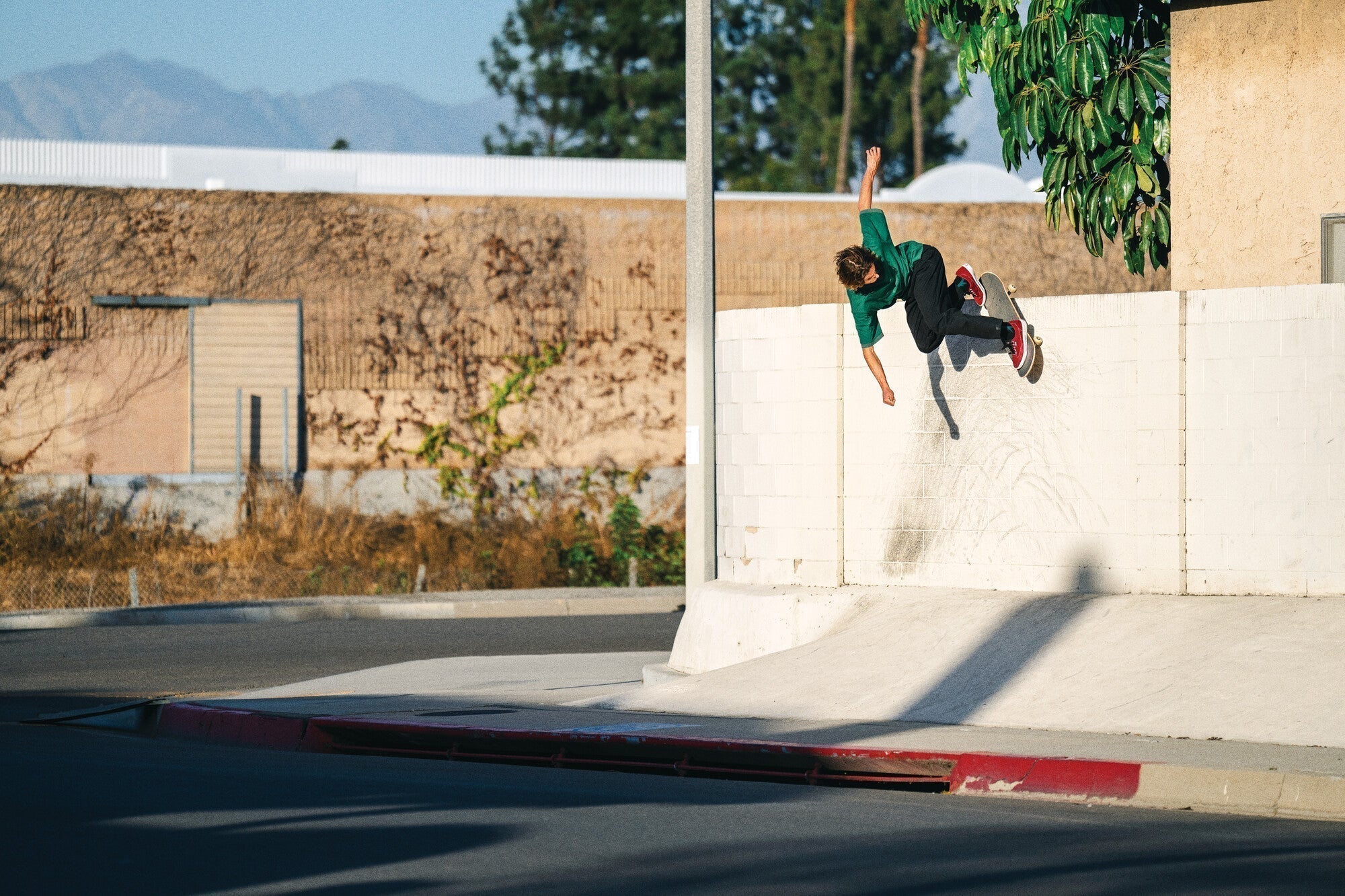 🏁 VANS SKATE CURREN CAPLES