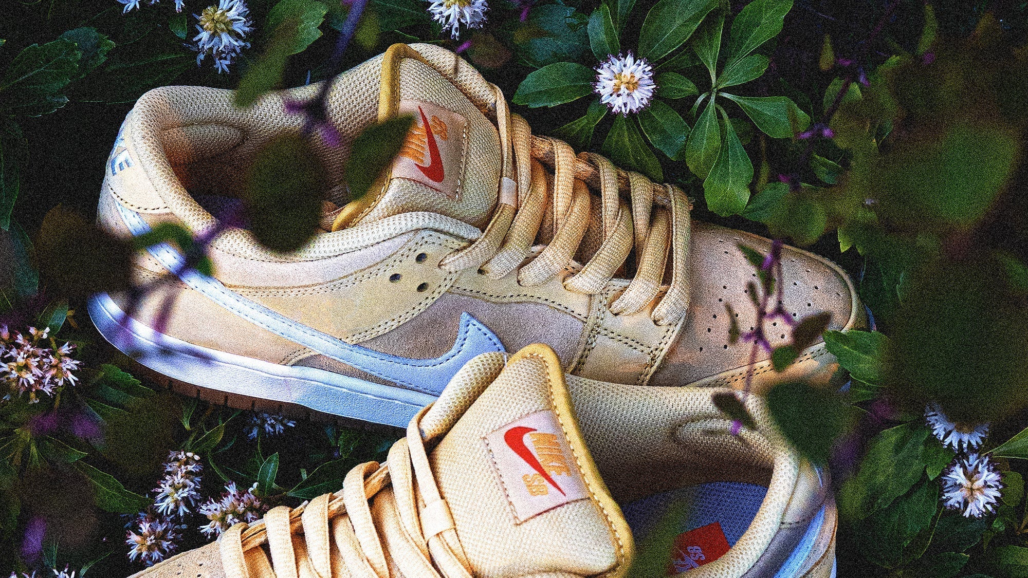 🌕NIKE SB DUNK LOW PRO "SATURN GOLD" 5月3日発売