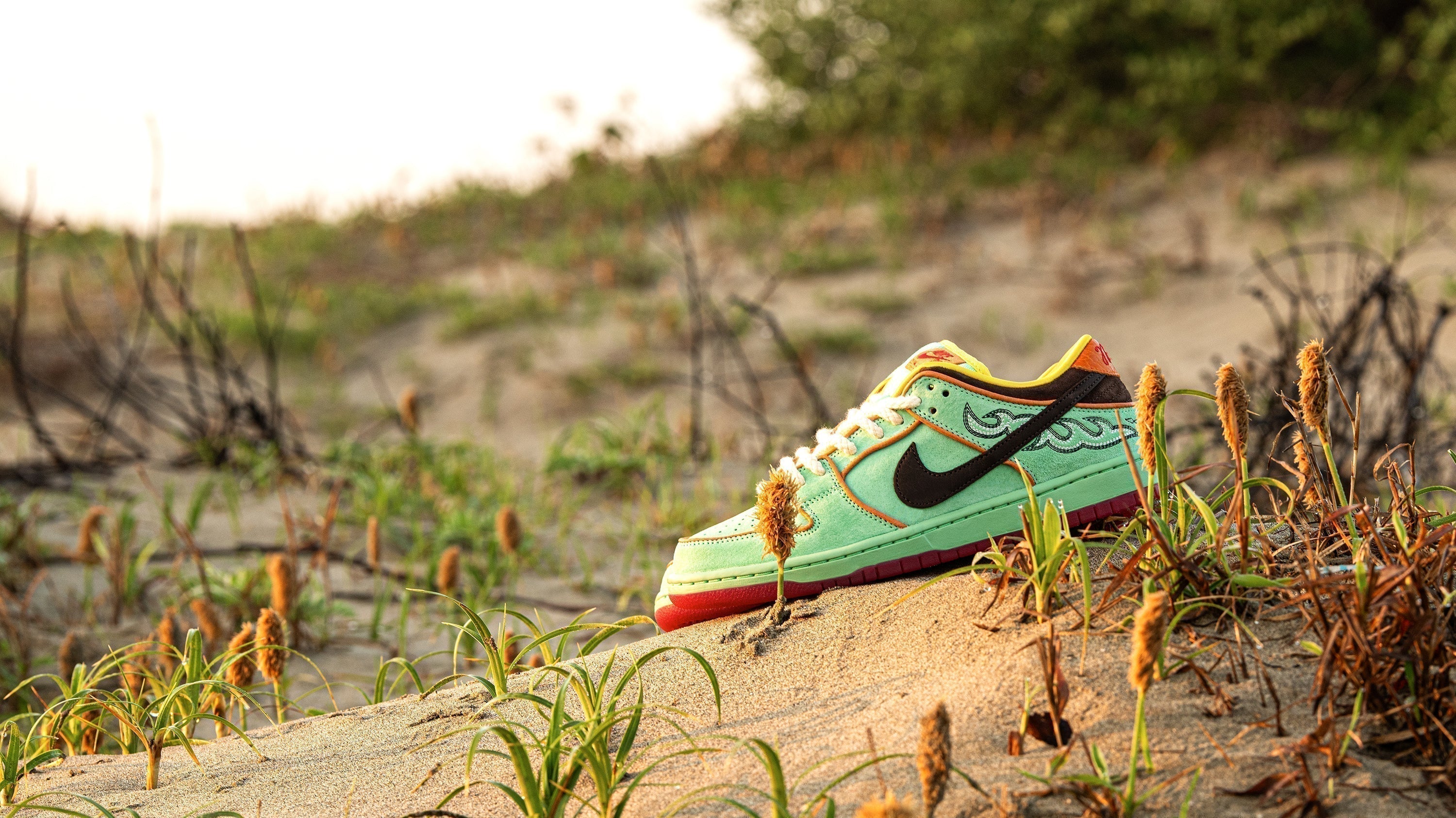 NIKE SB DUNK LOW PRO "RODE"のバナー画像