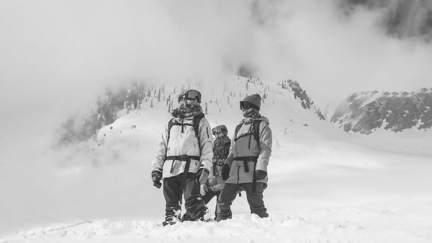 GNU SNOWBOARDS | グヌー スノーボード