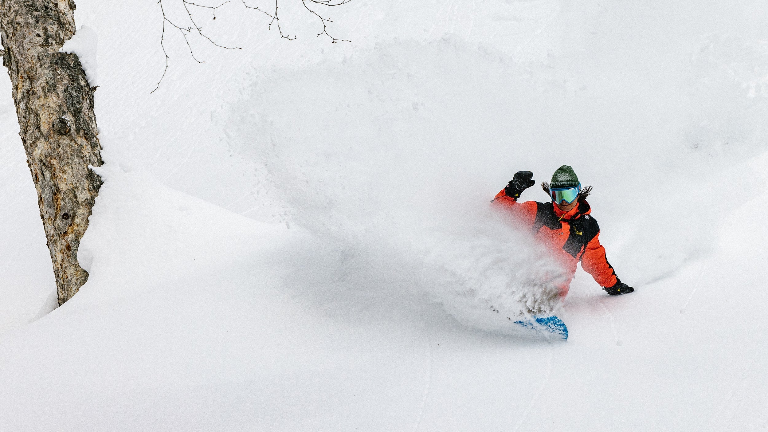 CAPiTA SNOWBOARDS（キャピタ スノーボード） | スノーボード