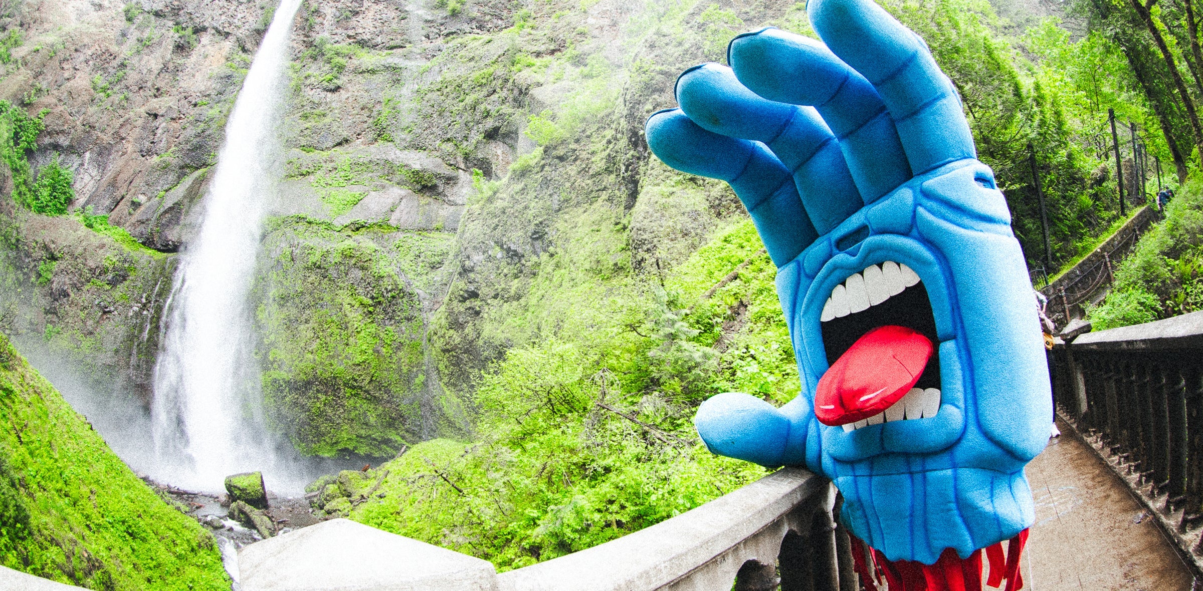 SANTA CRUZ SKATEBOARDS | サンタ クルーズ スケートボード