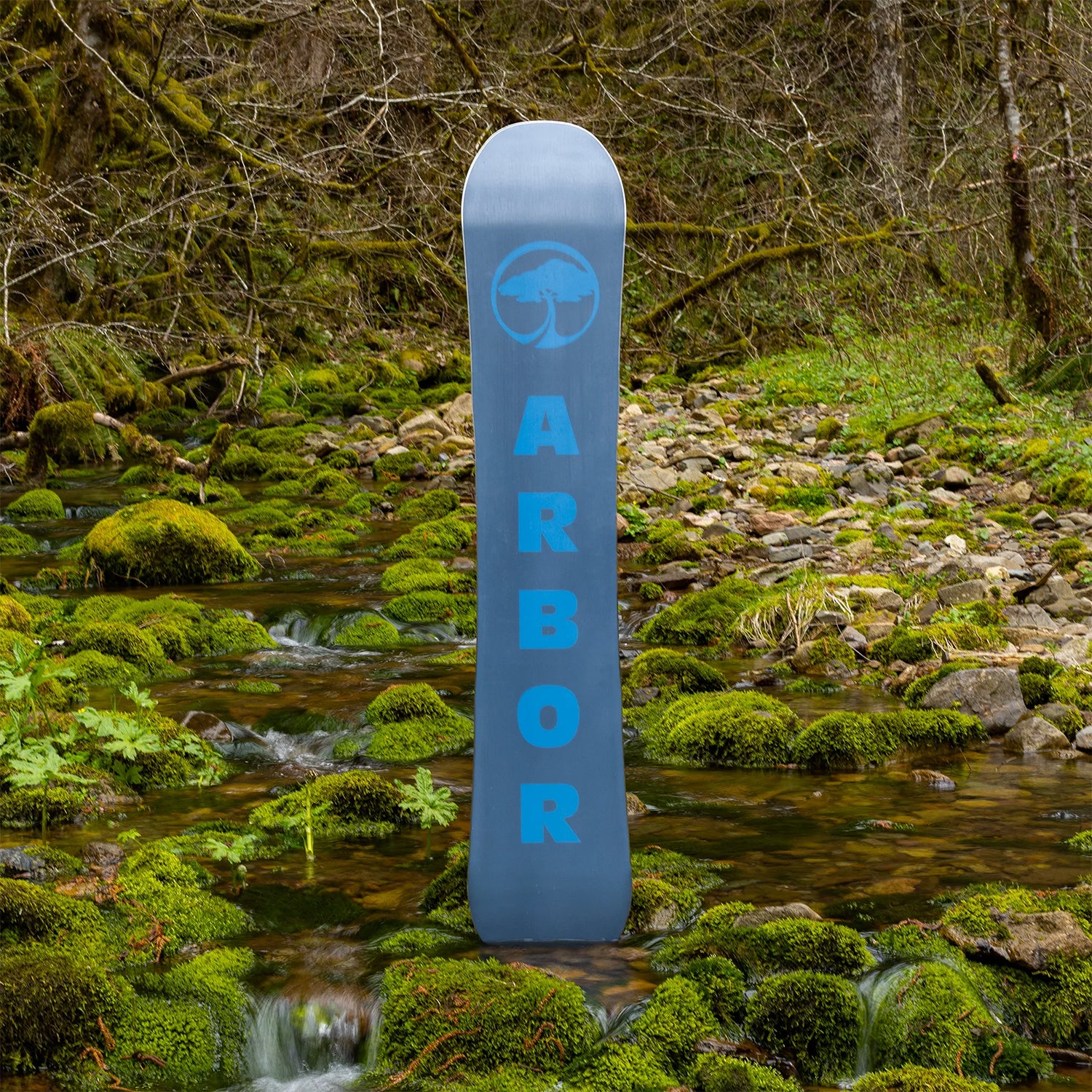 FOUNDATIONSNOWBOARD 2024