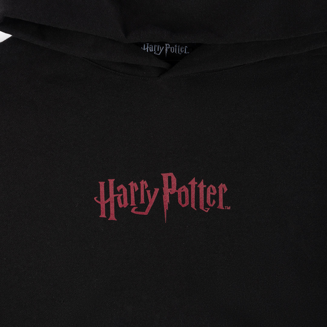 WELCOME SKATEBOARDS(ウェルカム スケートボード)| HARRY POTTER X WELCOME ARRIVAL L/S HOODIE / BLACK | スノーボード・スケートボードのTACTICS JAPAN