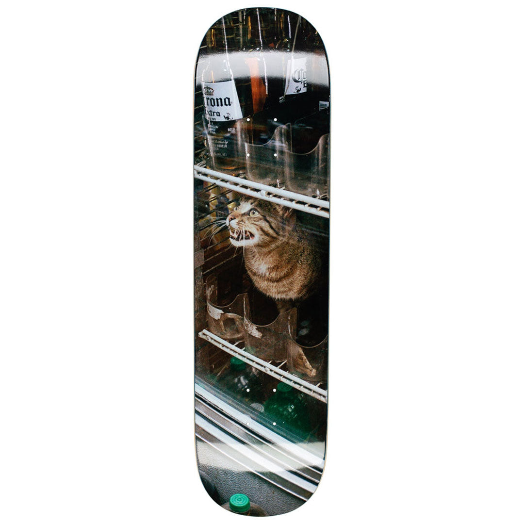 GX1000(ジーエックス ワンサウザンド)| BODEGA CAT - 8.375 | スノーボード・スケートボードのTACTICS JAPAN
