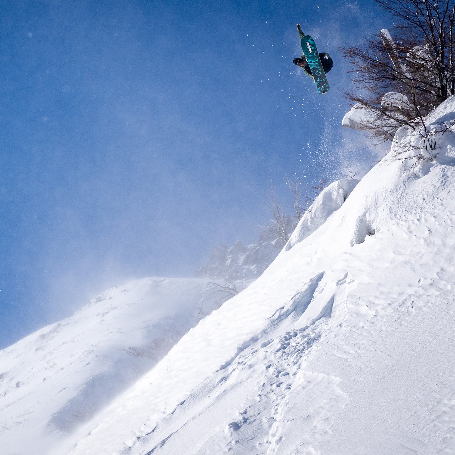 EXCAVATOR SNOWBOARD 2026