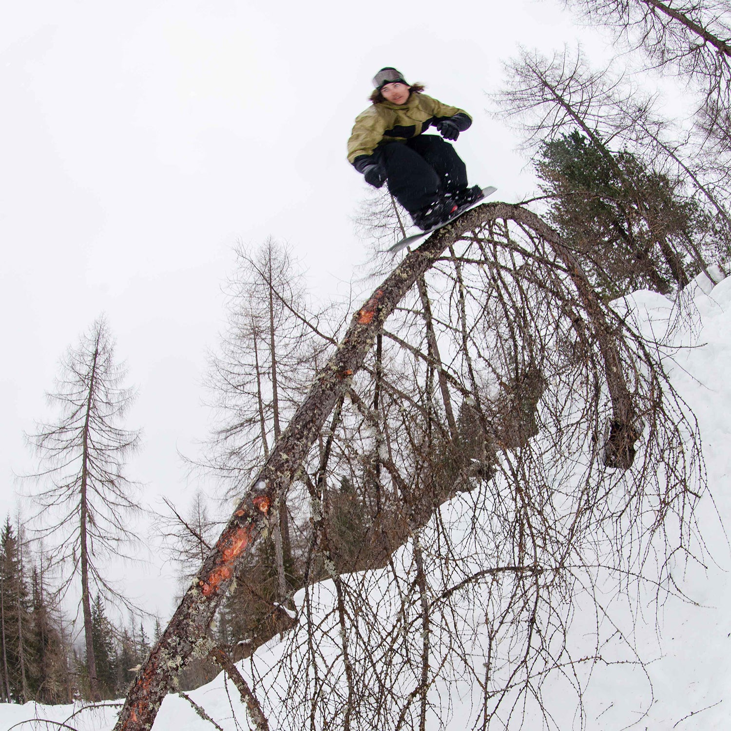 RIDE SNOWBOARDS(ライド スノーボード)| DEEP FAKE SNOWBOARD 2025 | スノーボード・スケートボードのTACTICS JAPAN