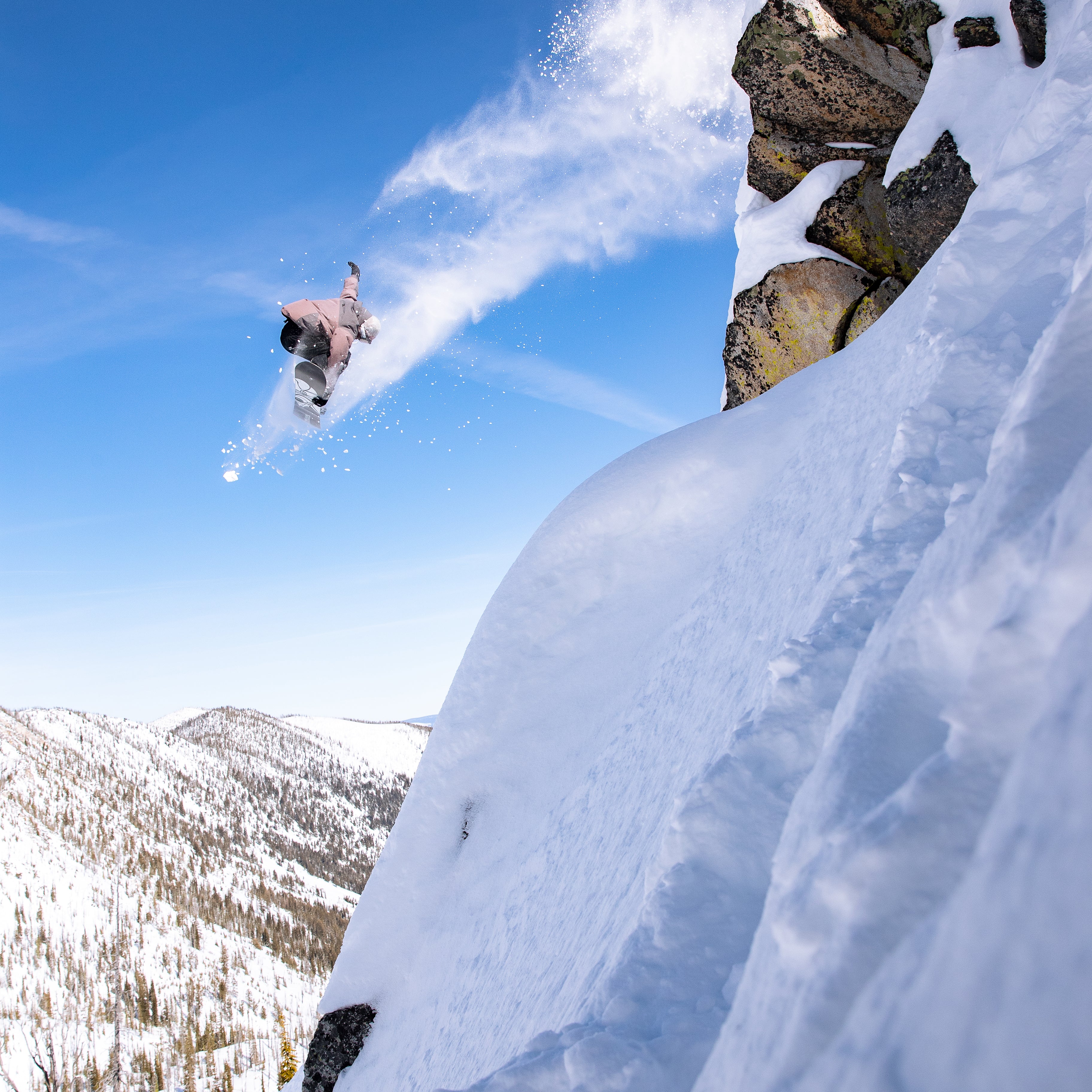 ANTIDOTE GABE FERGUSON SNOWBOARD 2025