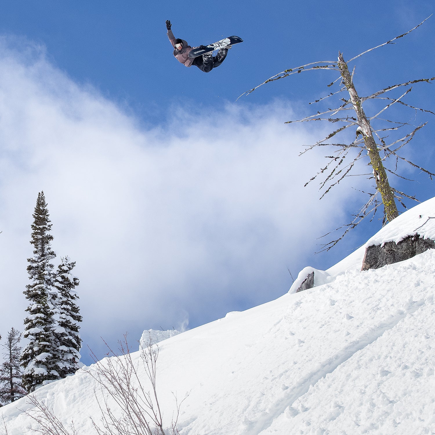 ANTIDOTE GABE FERGUSON SNOWBOARD 2025