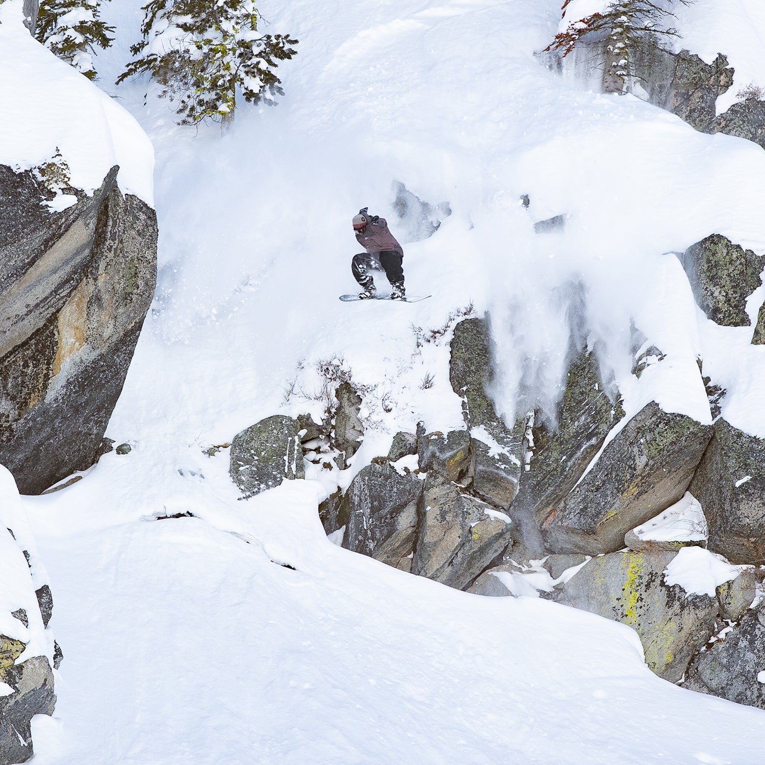 ANTIDOTE GABE FERGUSON SNOWBOARD 2025