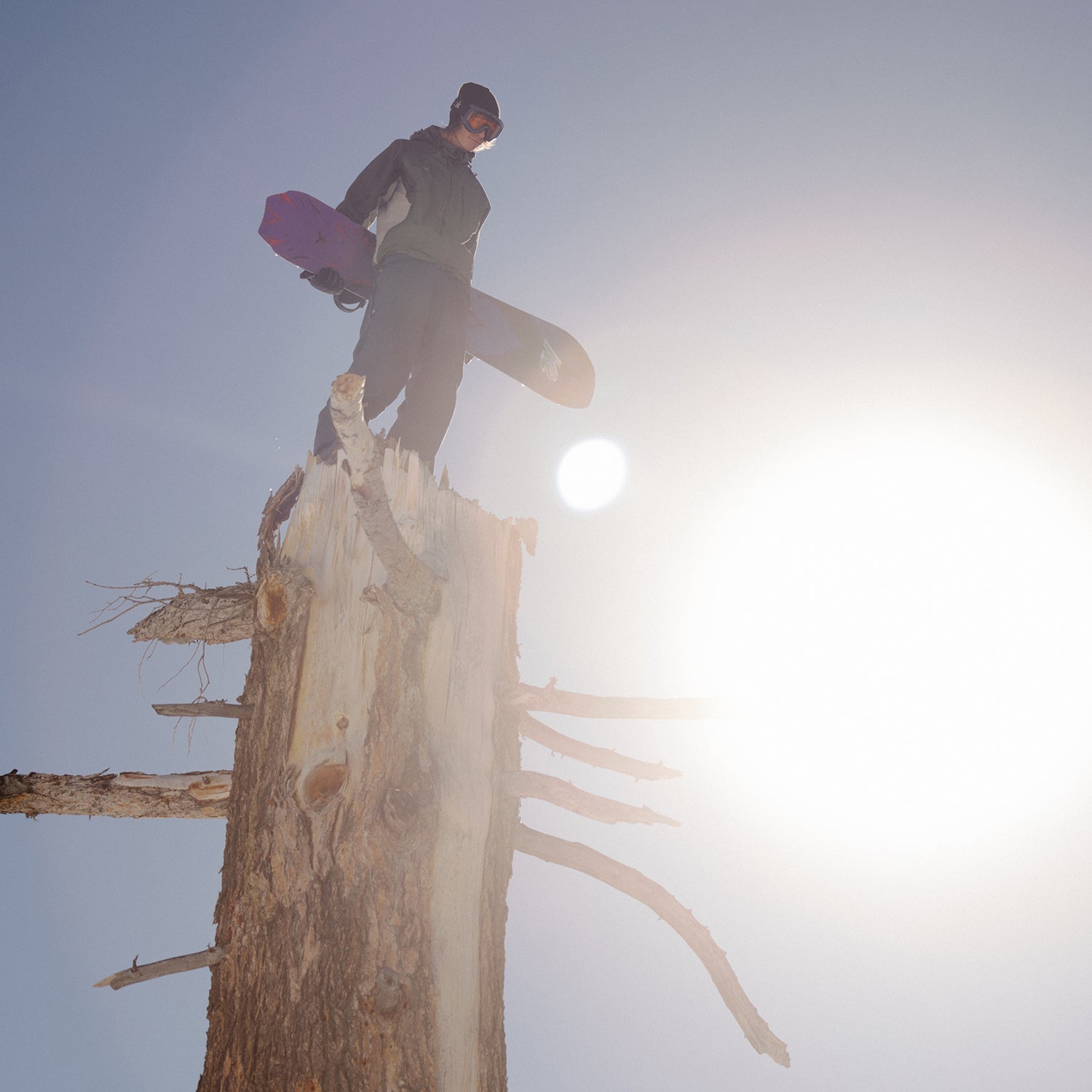 ALMANAC SNOWBOARD 2026