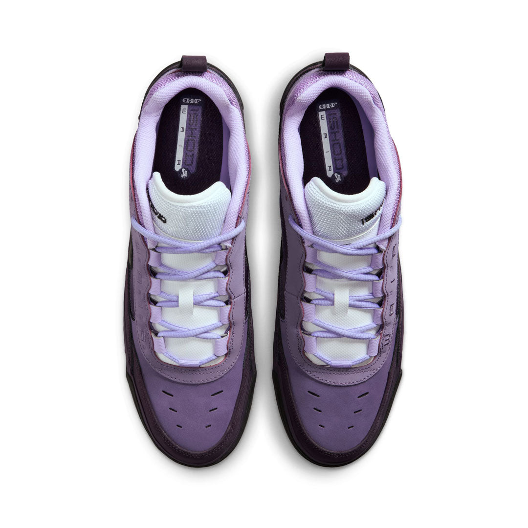 NIKE SB(ナイキ スケートボーディング)| NIKE SB AIR MAX ISHOD / GRAND PURPLE/NOBLE PURPLE | スノーボード・スケートボードのTACTICS JAPAN