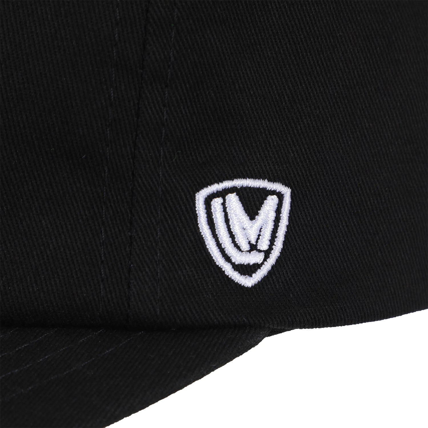 INDEPENDENT TRUCKS(インディペンデント トラック)| LANCE MOUNTAIN RANSOM SNAPBACK | スノーボード・スケートボードのTACTICS JAPAN