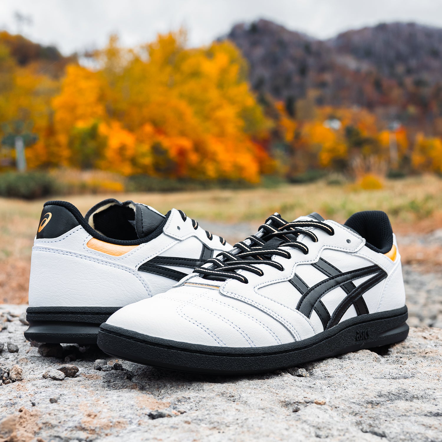 LEGGEREZZA FB / WHITE/BLACK