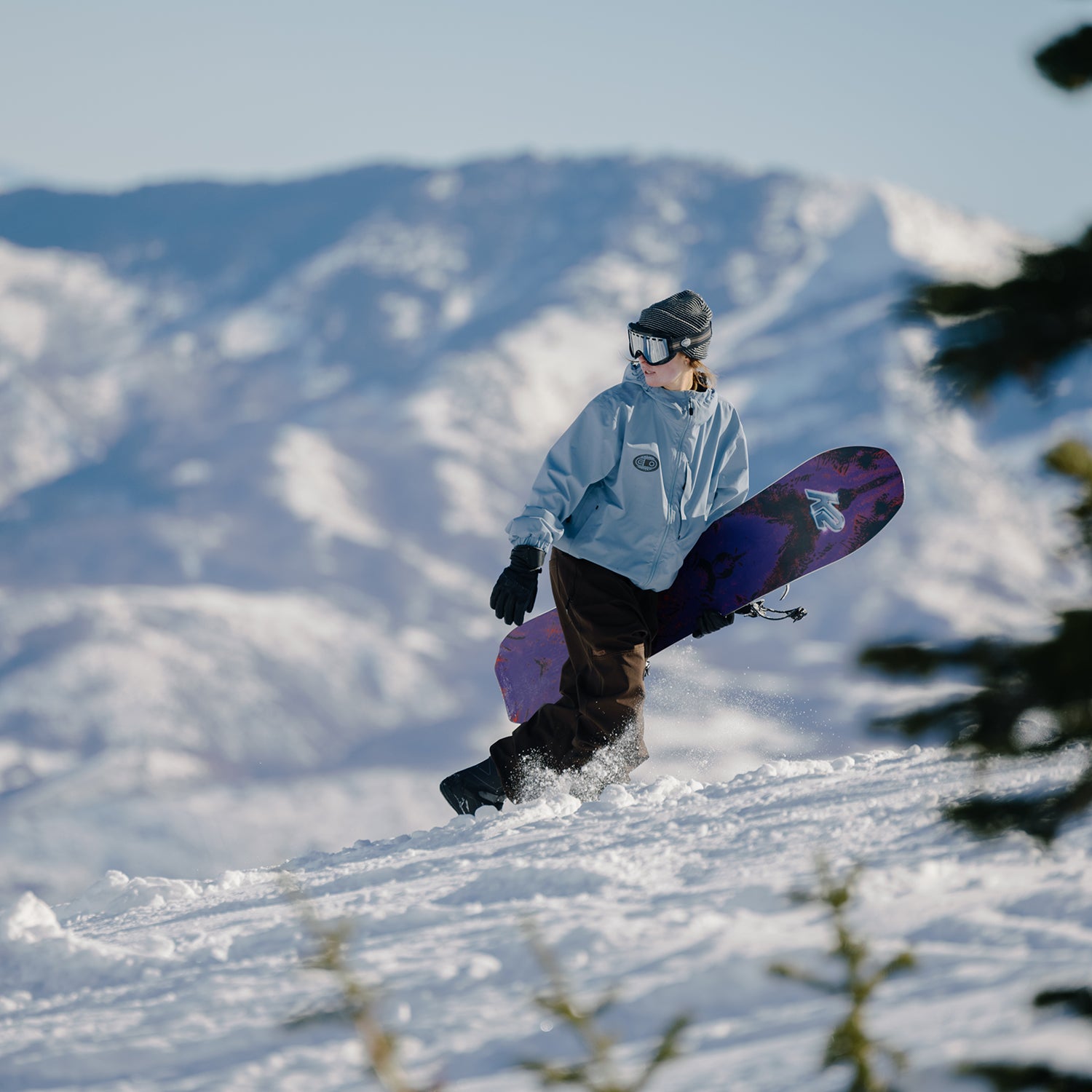 ALMANAC SNOWBOARD 2026