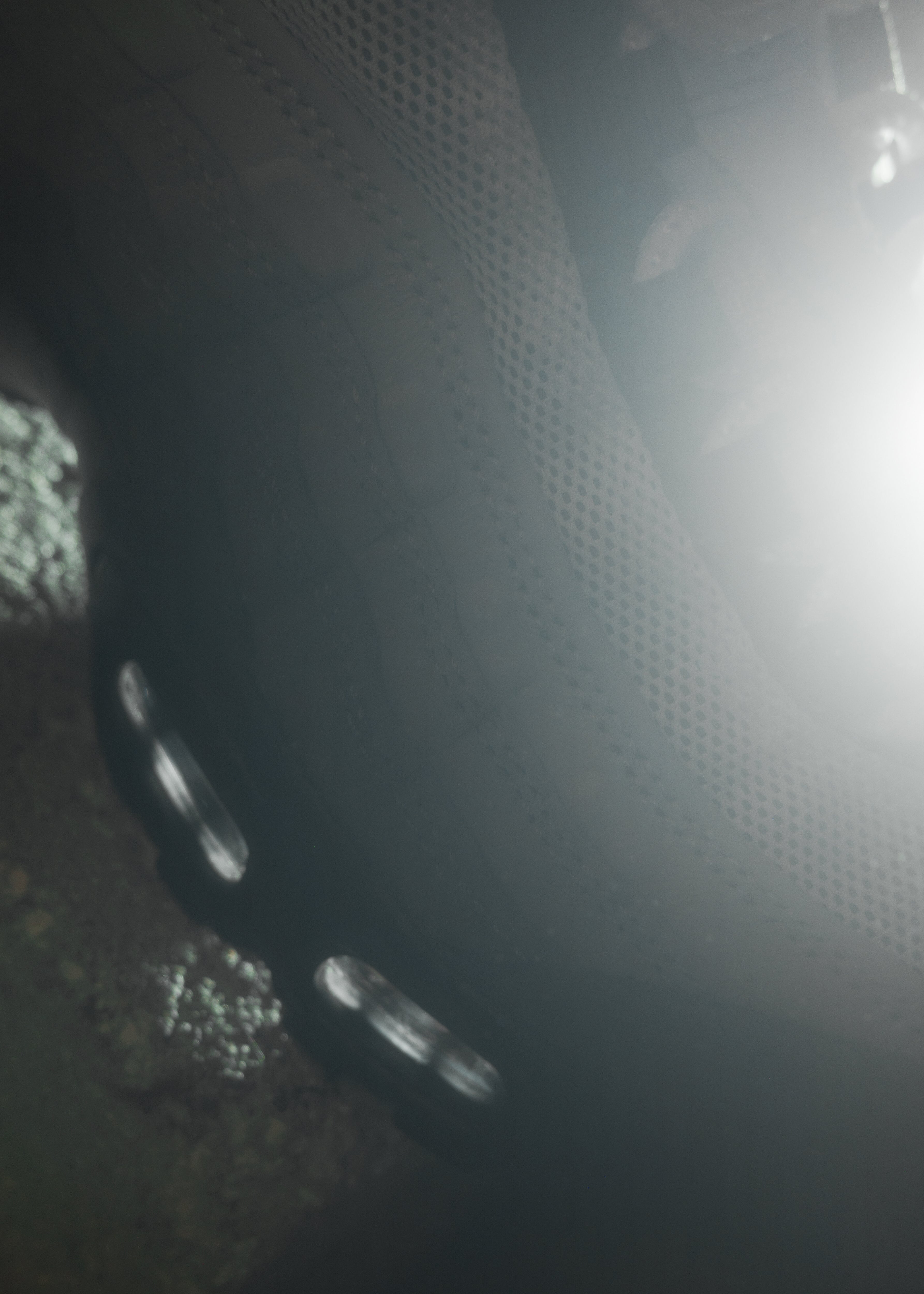 NIKE SB AIR MAX 95 QS "CACAO WOW"