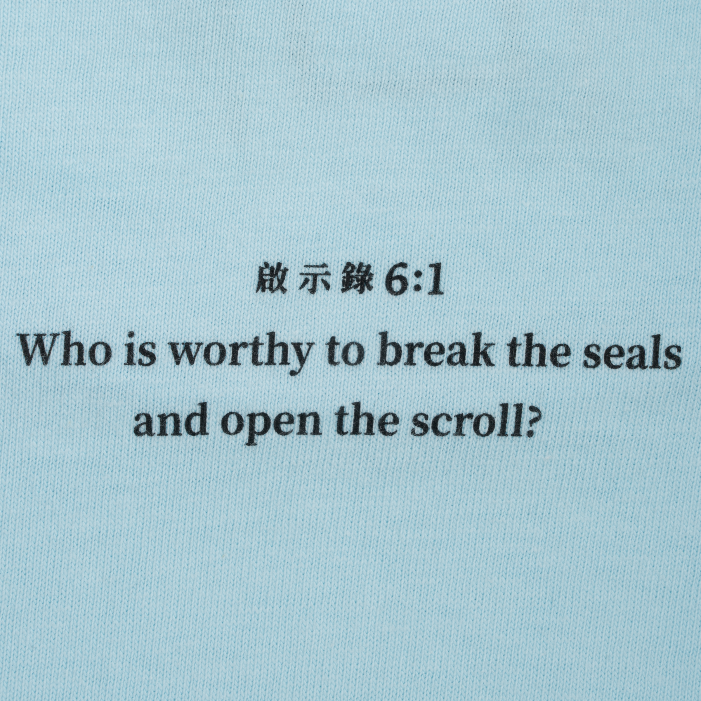 SCI-FI FANTASY(サイファイ ファンタジー)| LAMB TEE / CHAMBRAY | スノーボード・スケートボードのTACTICS JAPAN