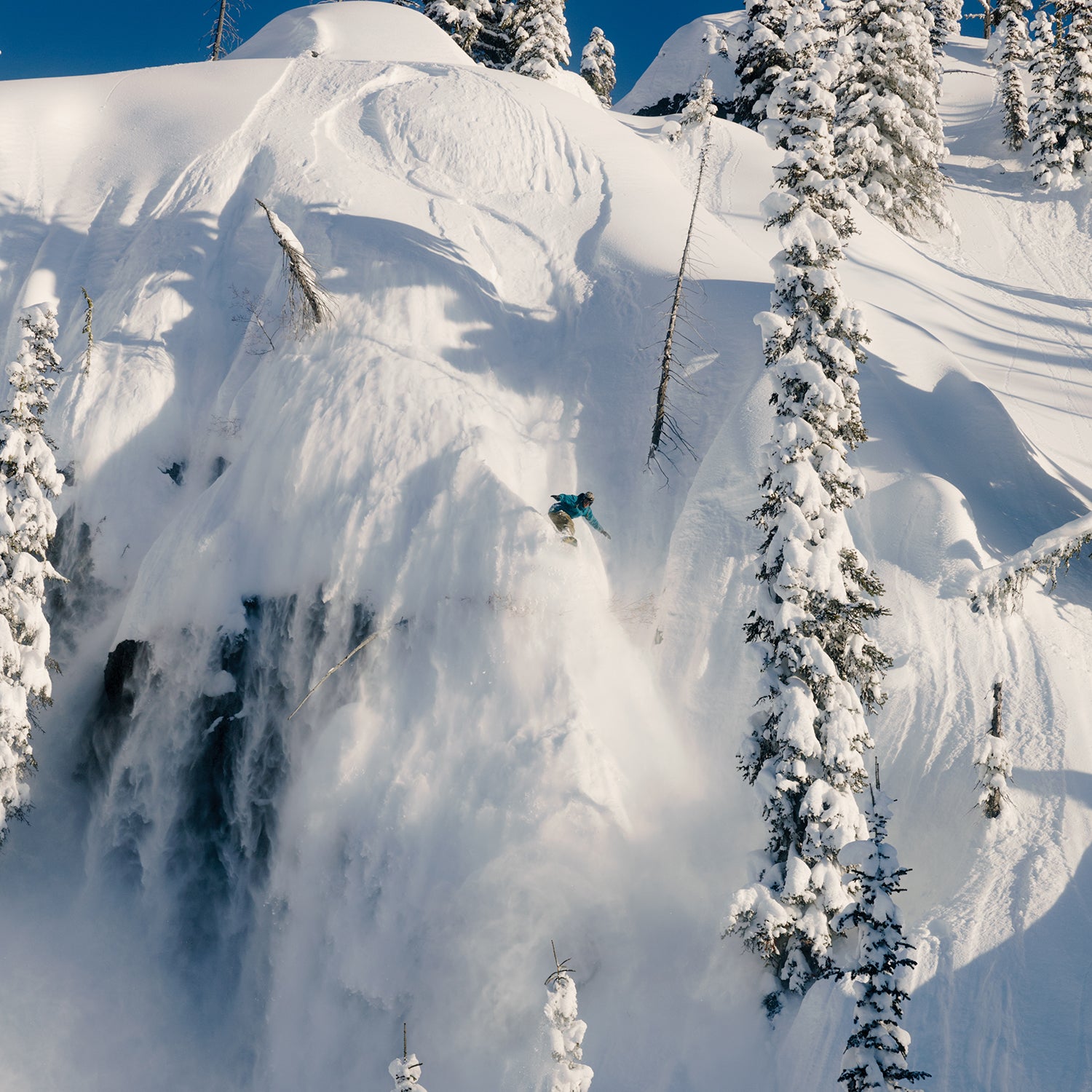 ANTIDOTE SNOWBOARD 2026