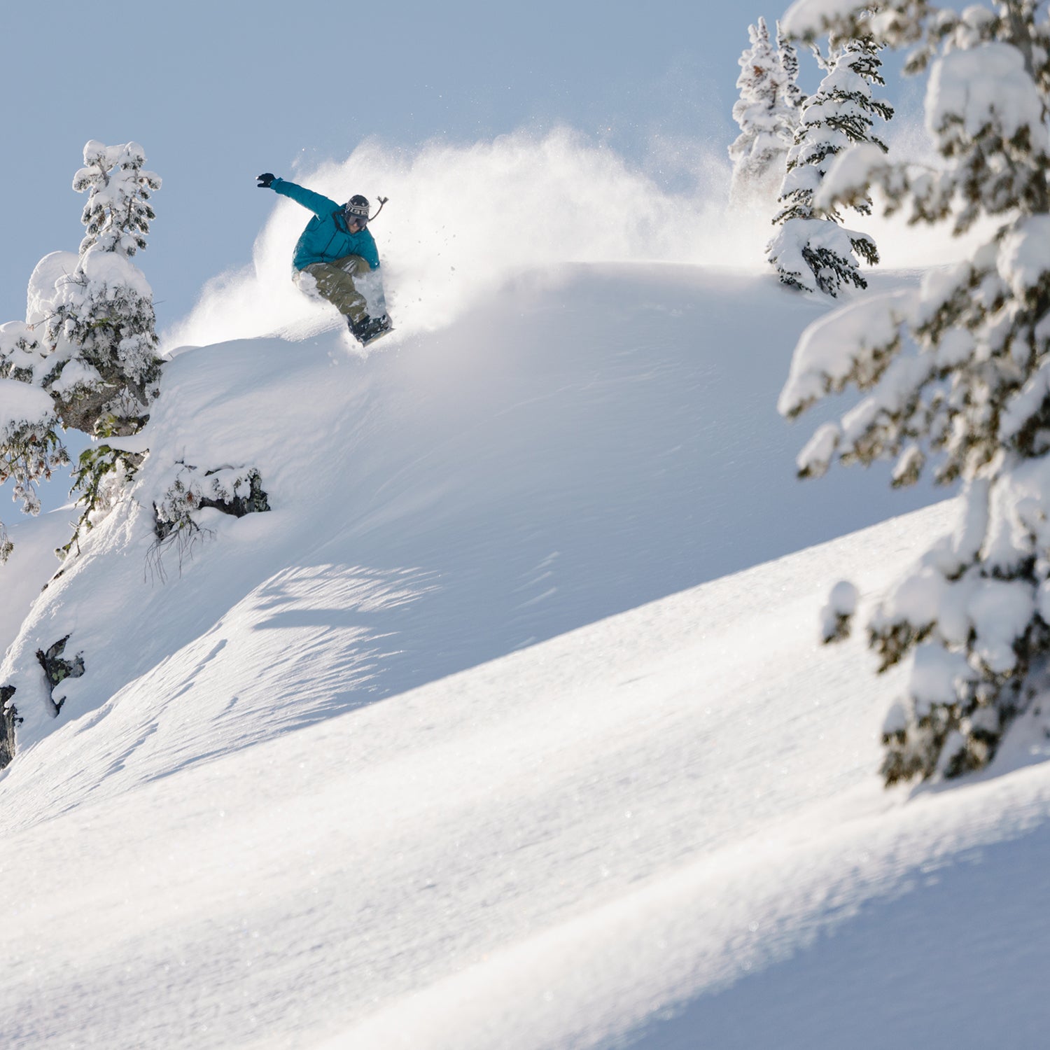 ANTIDOTE SNOWBOARD 2026