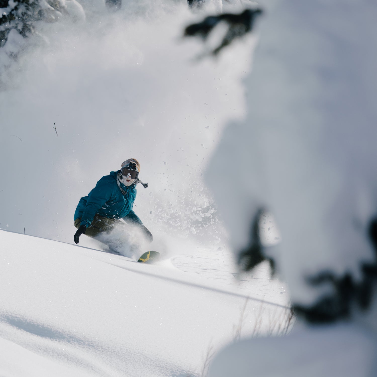 ANTIDOTE SNOWBOARD 2026