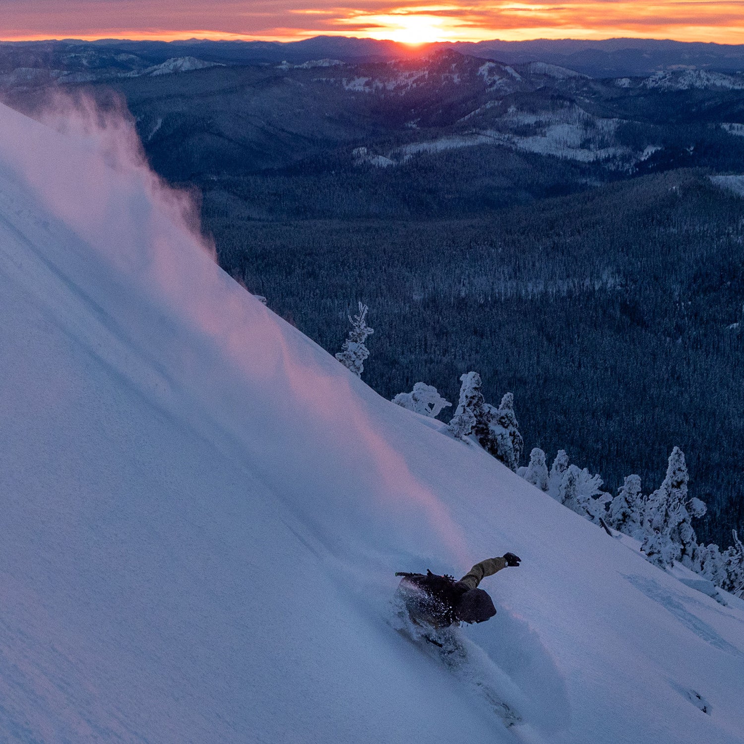 CASCADIA 3L WAVE PANTS / DARK EARTH