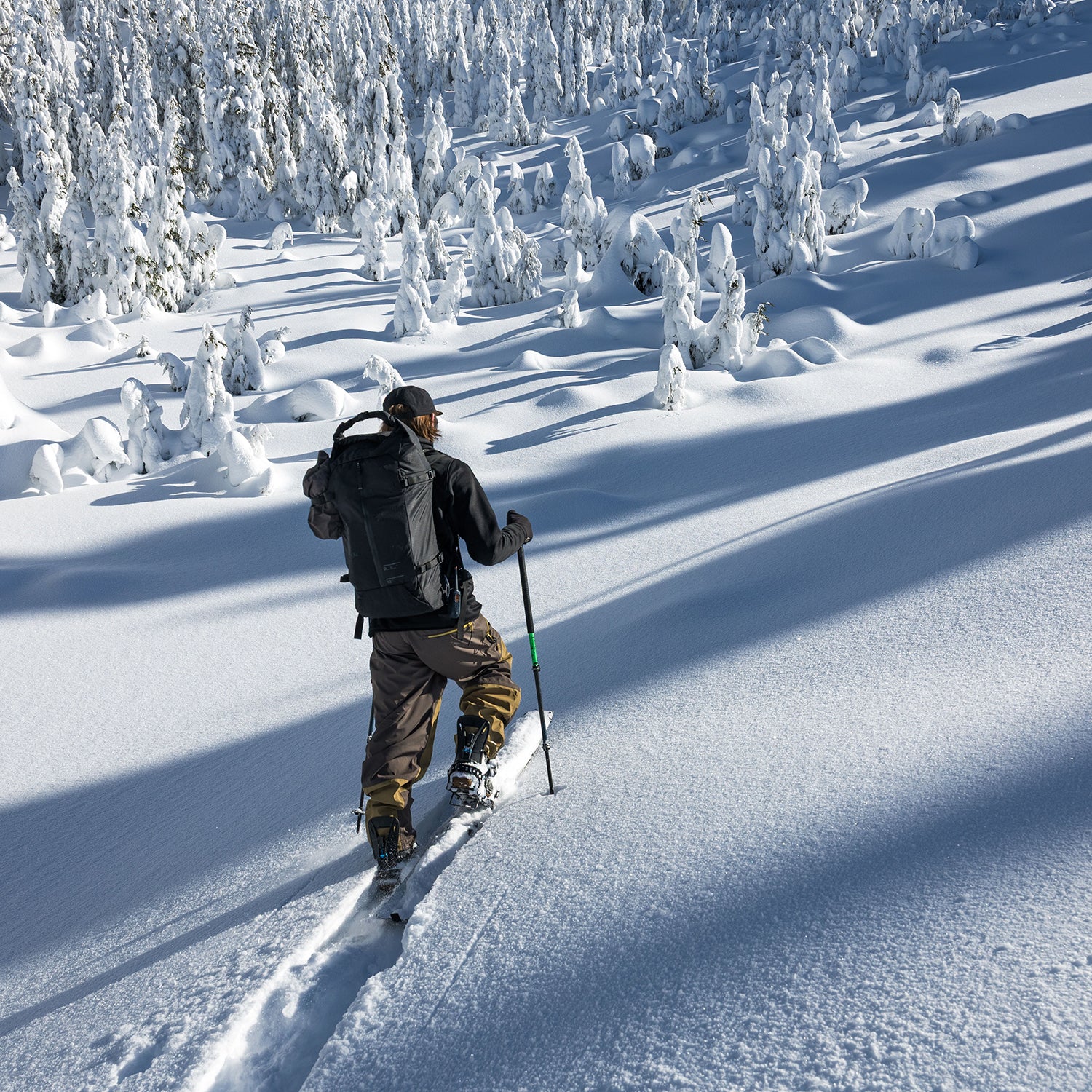 CASCADIA 3L WAVE PANTS / DARK EARTH