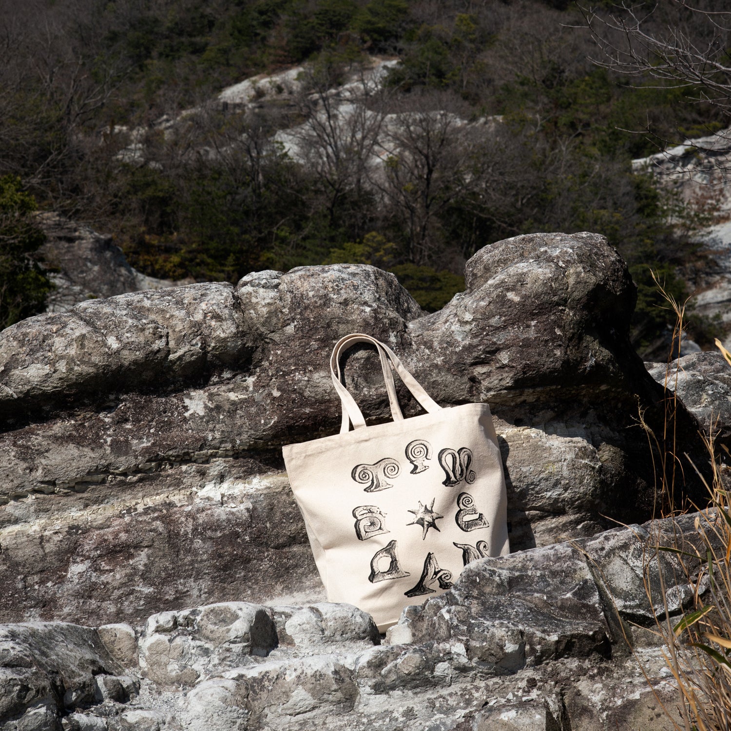 TIMESCAN(タイムスキャン)| ARTIFACTS TOTE BAG | スノーボード・スケートボードのTACTICS JAPAN