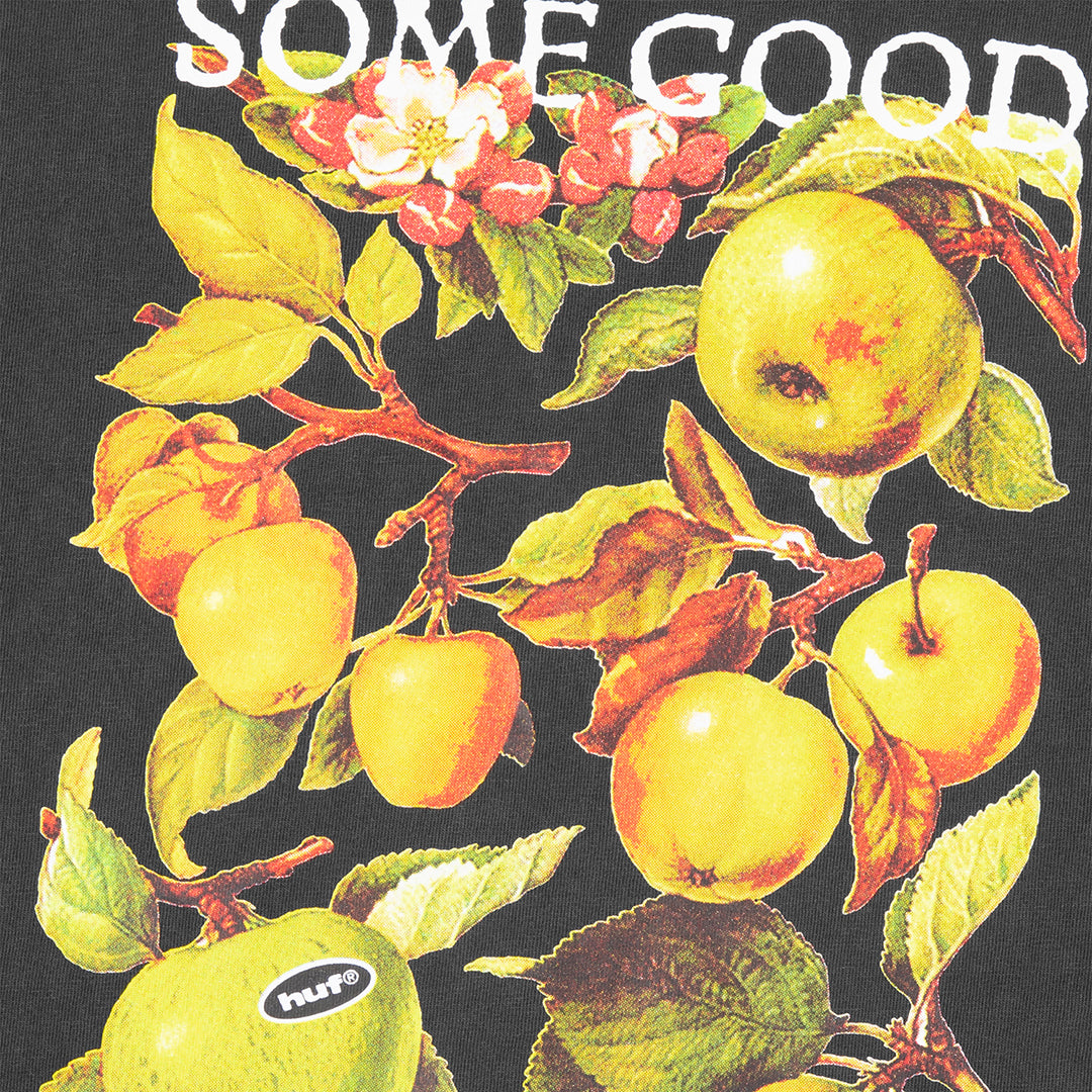 ORCHARDS TEE / BLACK