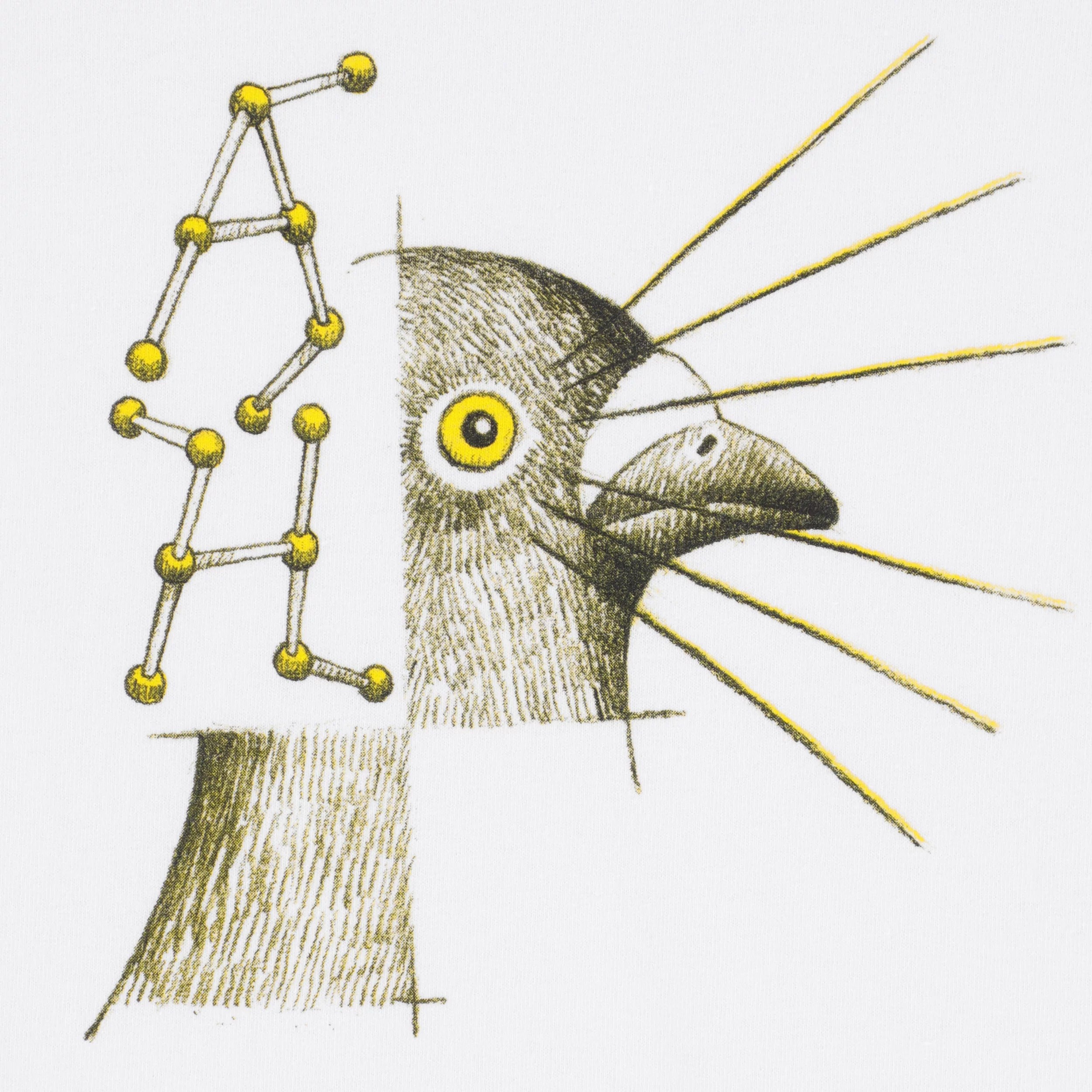 ANTIHERO(アンタイヒーロー)| MOLECULAR PIGEON - S/S T-SHIRT | スノーボード・スケートボードのTACTICS JAPAN