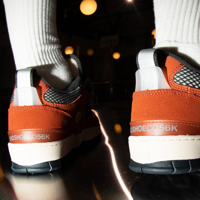 BRONZE 56K JS - 1