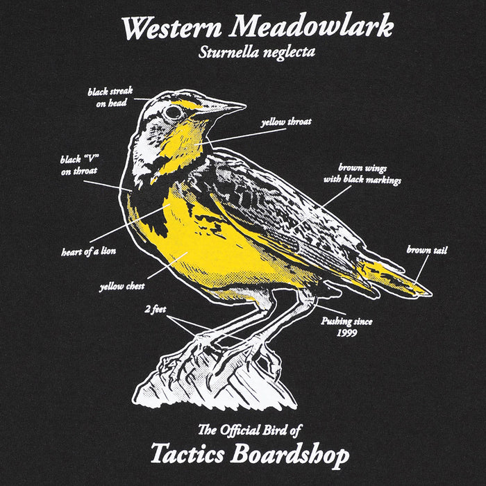 TACTICS(タクティクス)| MEADOWLARK SCIENTIFIC T-SHIRT / BLACK | スノーボード・スケートボードのTACTICS JAPAN