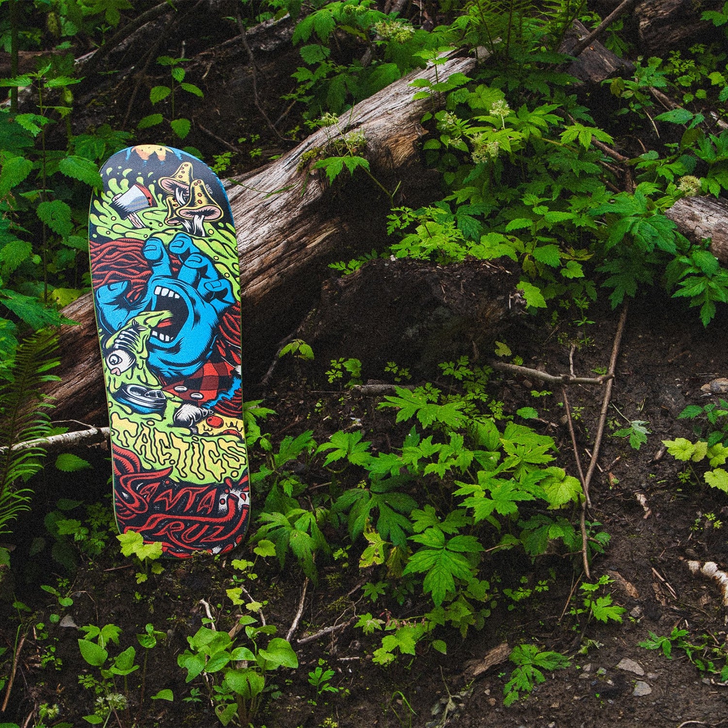 TACTICS Ⅹ SANTA CRUZ SCREAMING HAND 9.7 SKATEBOARD DECK
