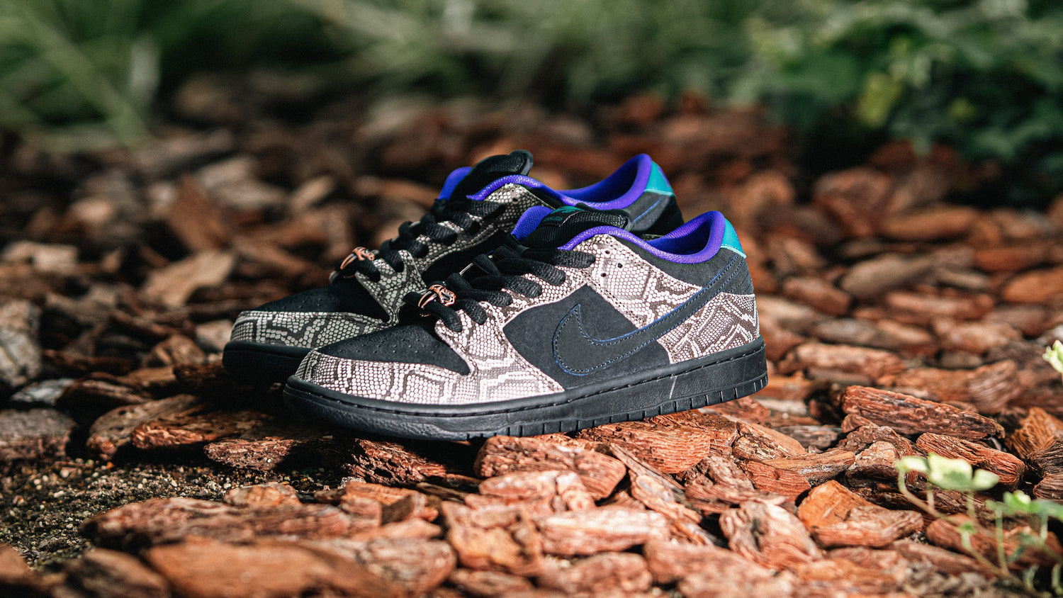 NIKE SB DUNK LOW PRO QS "DASHAWN JORDAN"