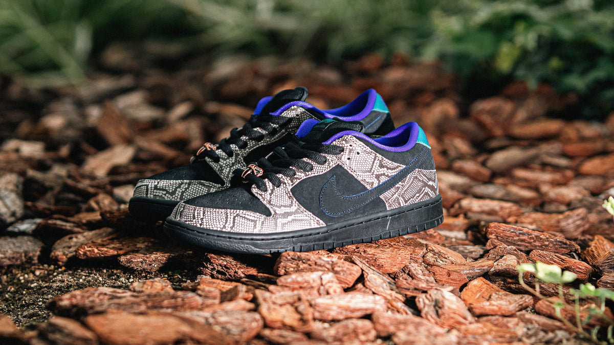 NIKE SB DUNK LOW PRO QS 