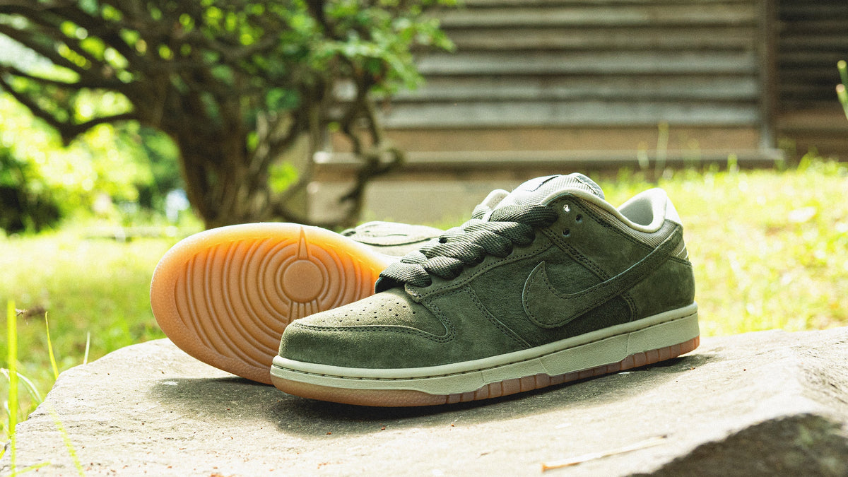 ? NIKE SB DUNK LOW PRO B 