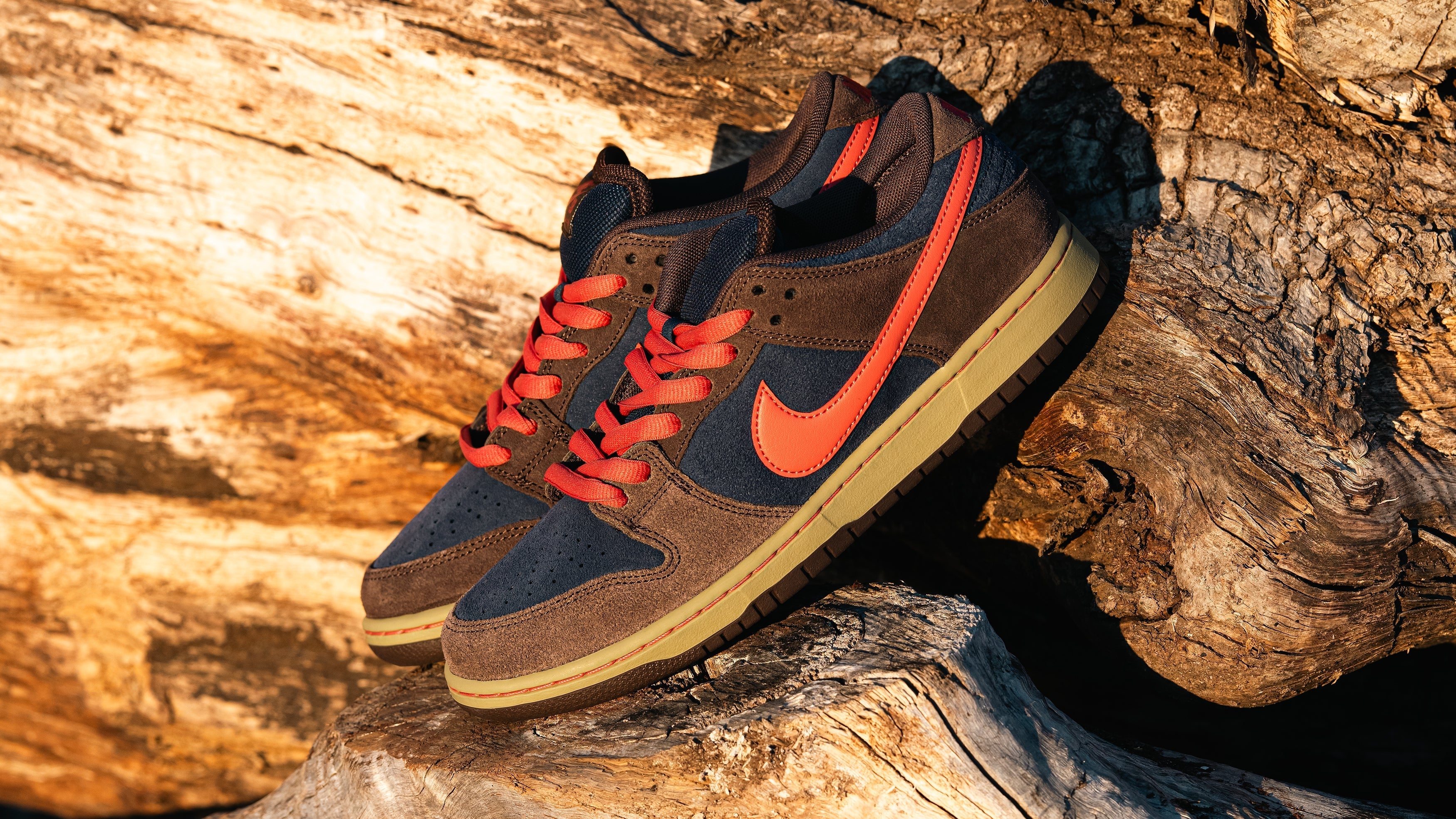 NIKE SB DUNK LOW PRO 