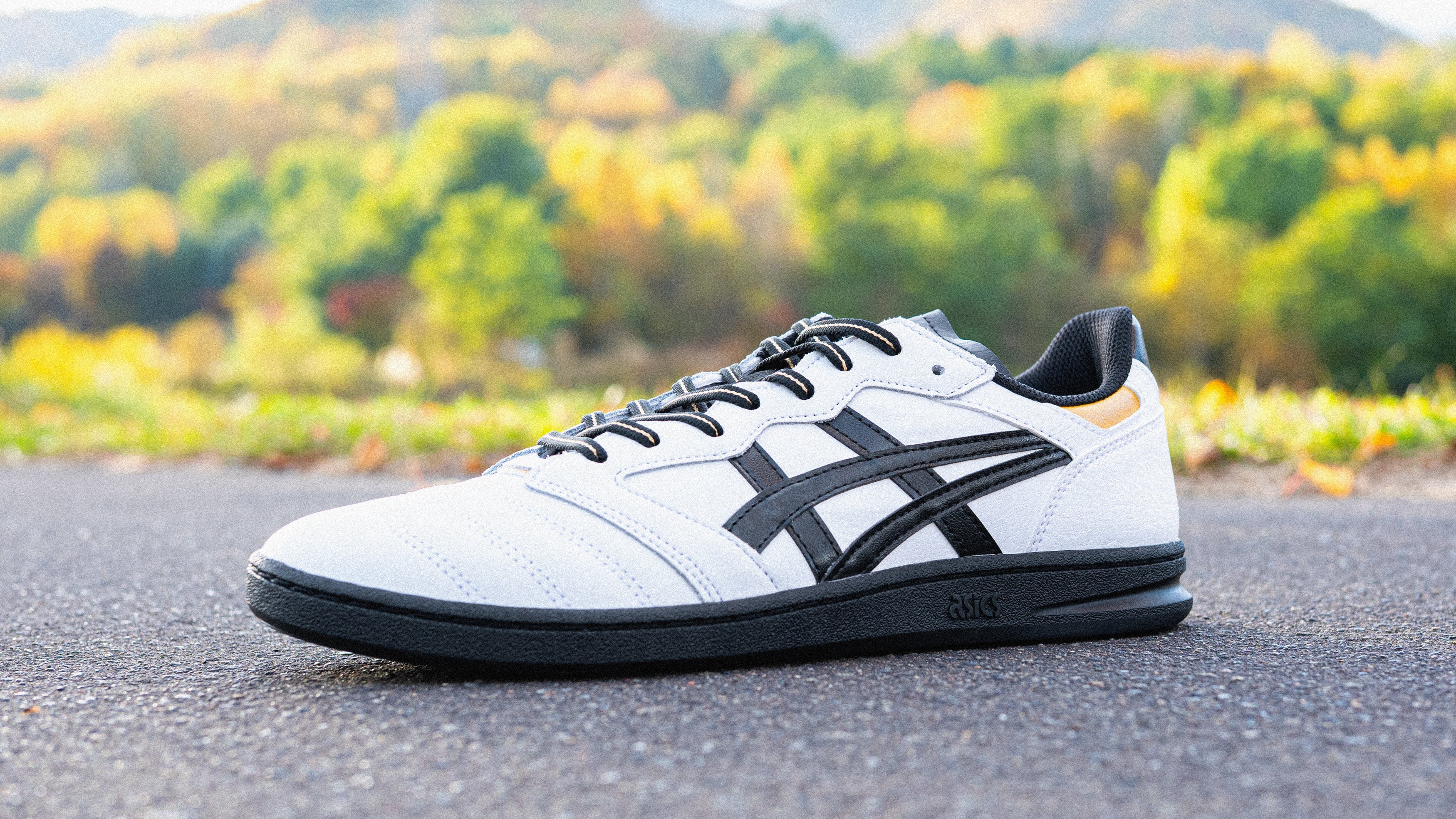 ASICS SKATEBOARDING | アシックス スケートボーディングのバナー