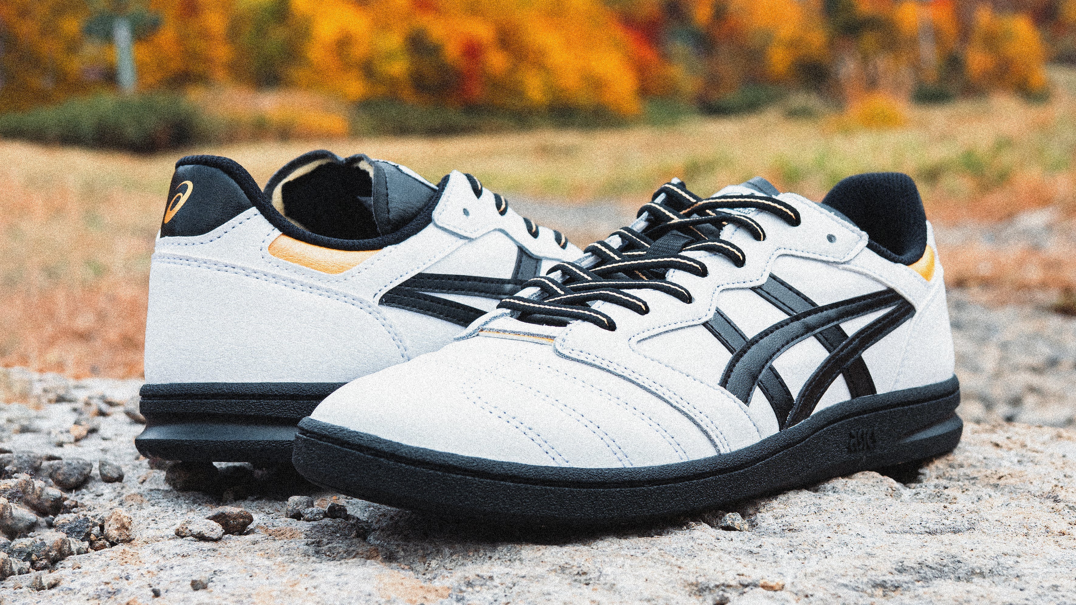 ASICS LEGGEREZZA FB コレクション | スケートボード・スノーボードのTACTICS JAPAN