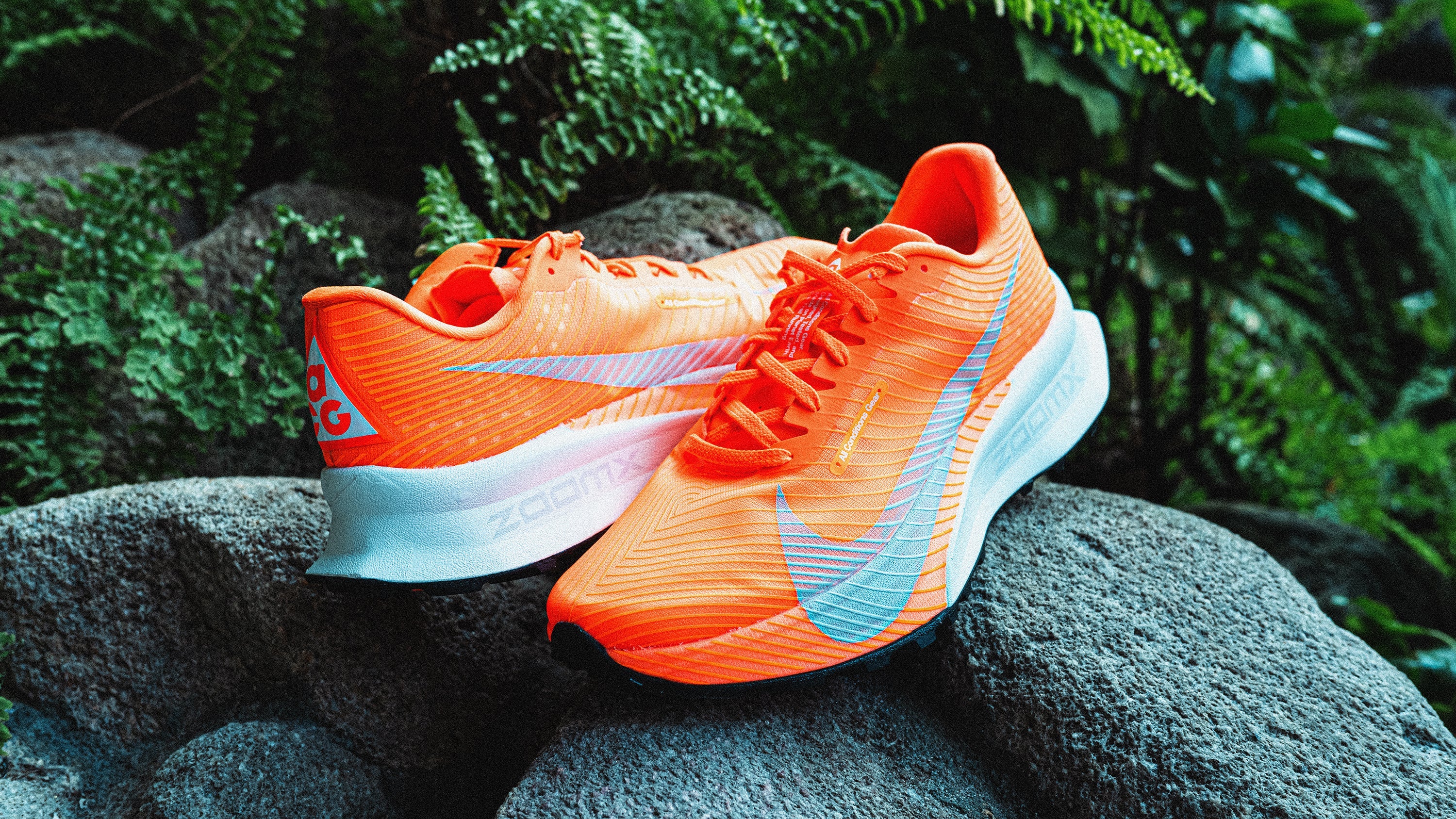 NIKE ACG | ナイキ エーシージー