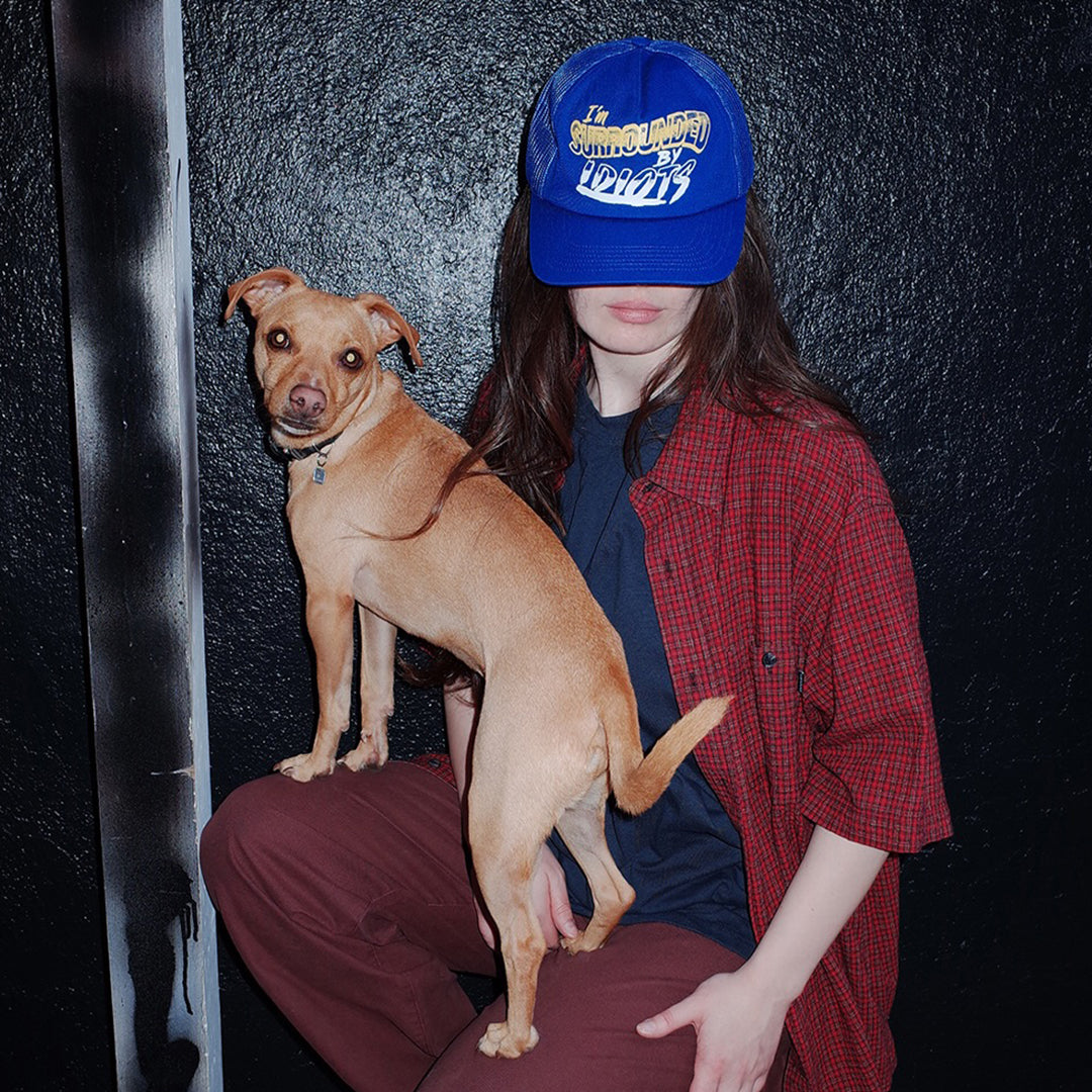 SURROUNDED BY IDIOTS HAT / ROYAL BLUE