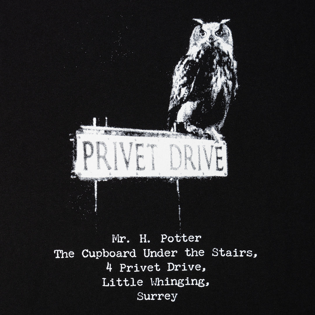 WELCOME SKATEBOARDS（ウェルカム スケートボード）| HARRY POTTER X WELCOME ACCEPTANCE GARMENT-DYED S/S BOXY TEE / BLACK | スノーボード・スケートボードのTACTICS JAPAN