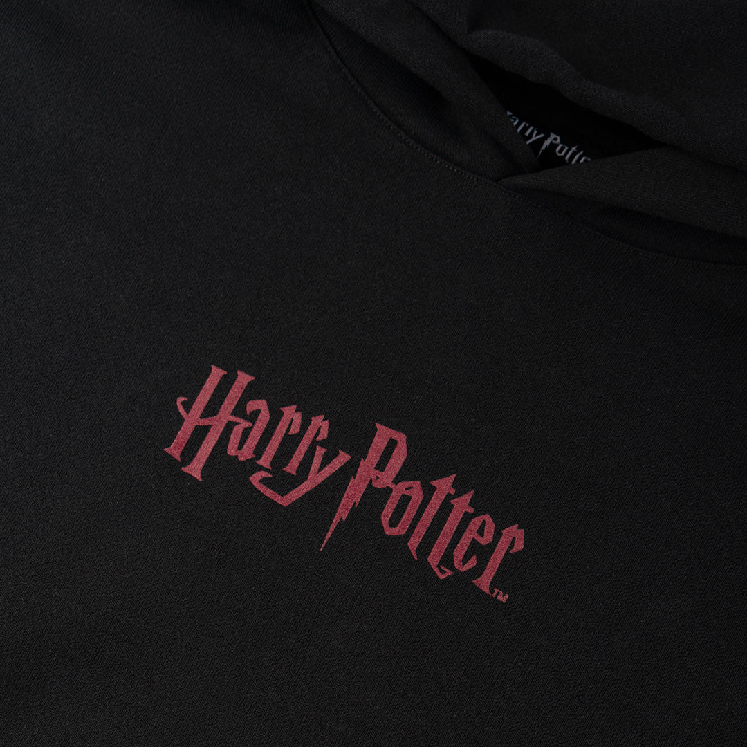 WELCOME SKATEBOARDS（ウェルカム スケートボード）| HARRY POTTER X WELCOME ARRIVAL L/S HOODIE / BLACK | スノーボード・スケートボードのTACTICS JAPAN