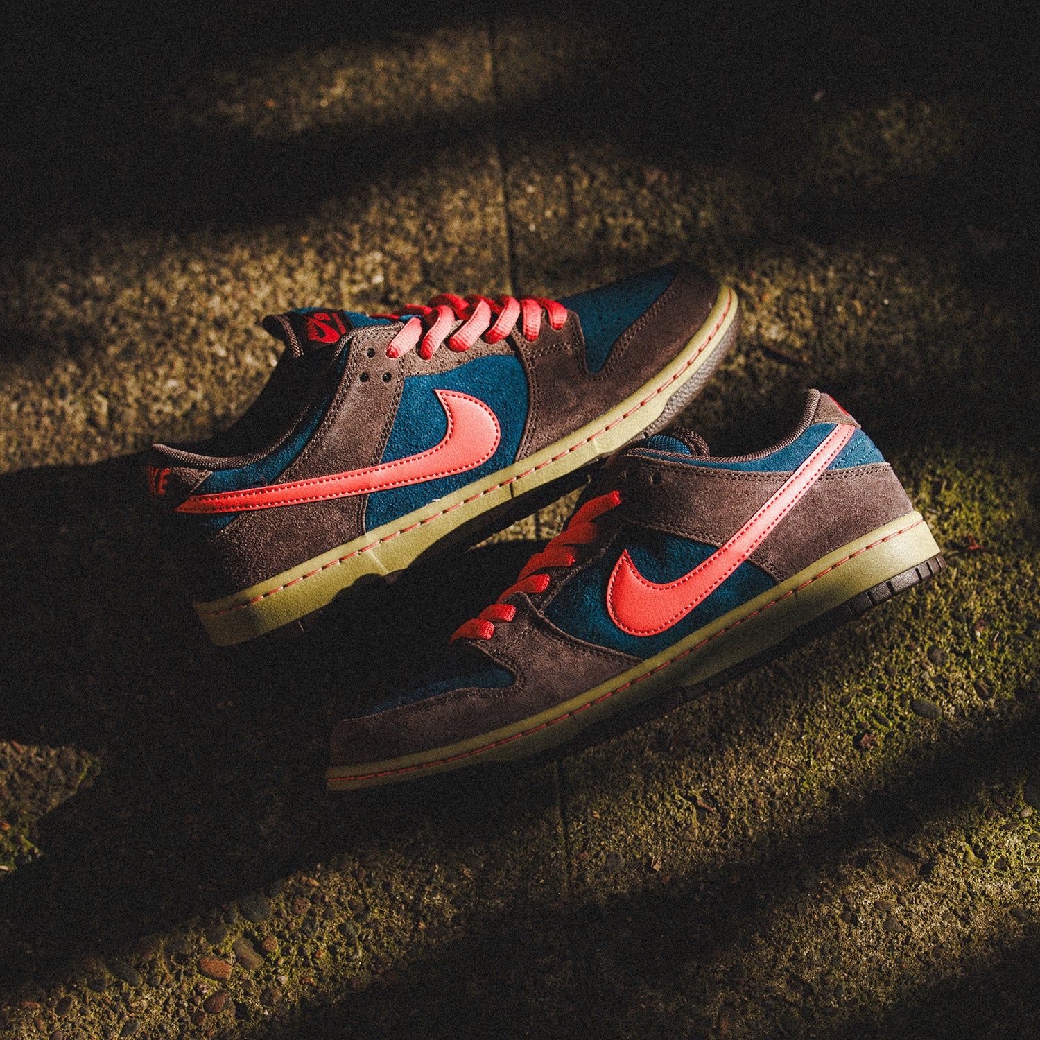 NIKE SB（ナイキ スケートボーディング）| NIKE SB DUNK LOW PRO