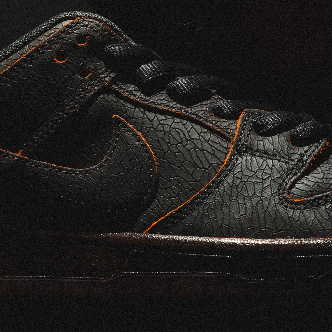 NIKE SB（ナイキ スケートボーディング）| NIKE SB DUNK LOW PRO