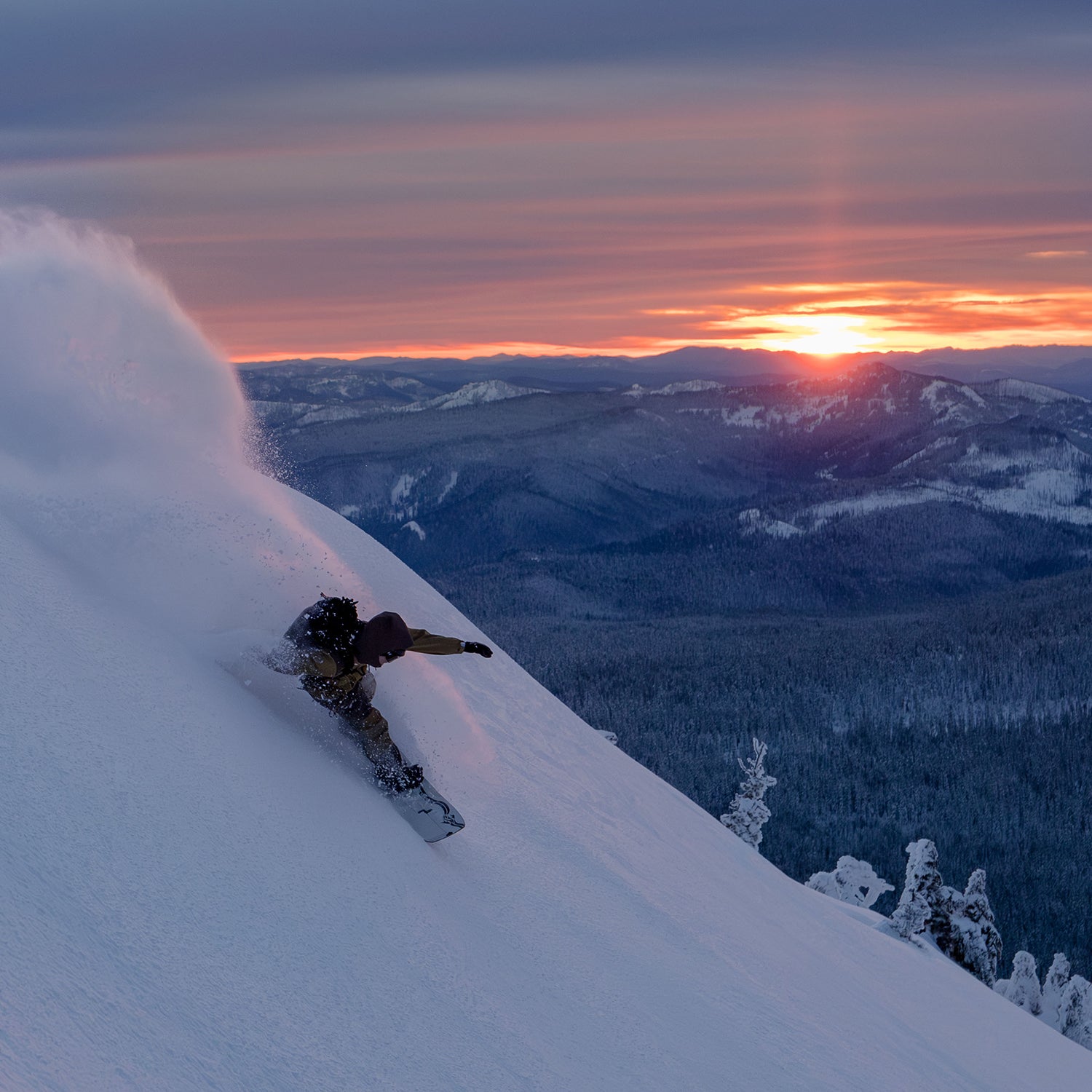 CASCADIA 3L WAVE PANTS / DARK EARTH