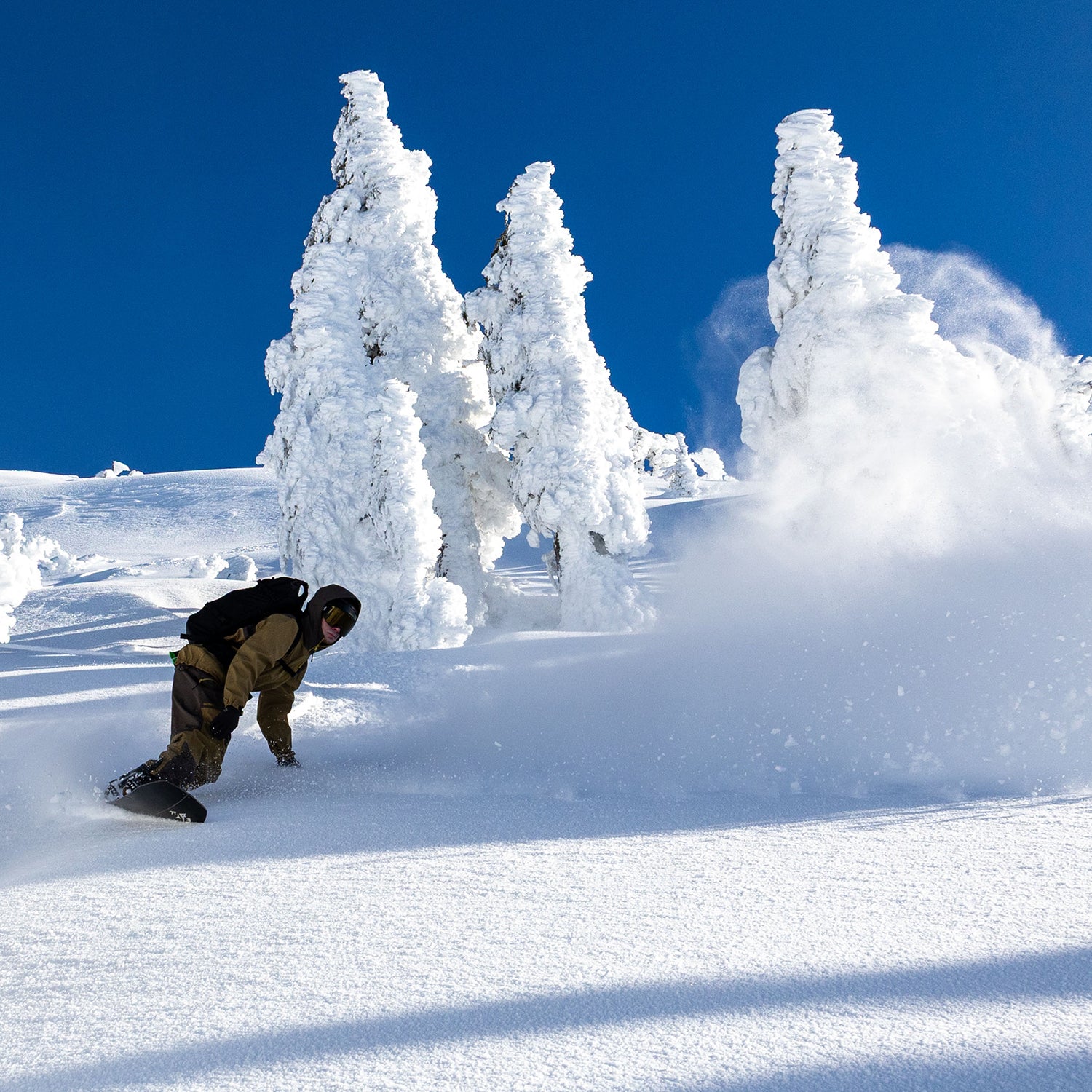 CASCADIA 3L WAVE PANTS / DARK EARTH