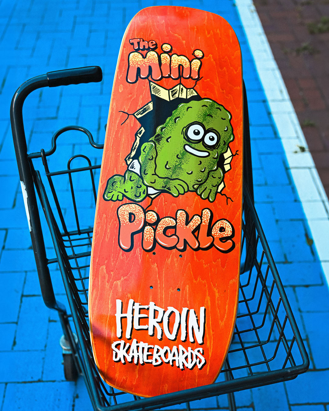 MINI PICKLE - 9.5