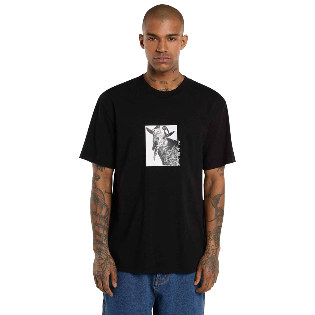 DICKIES SKATEBOARDING（ディッキーズ スケートボーディング）| MIKE ANDERSON GRAPHIC TEE / BLACK | スノーボード・スケートボードのTACTICS JAPAN