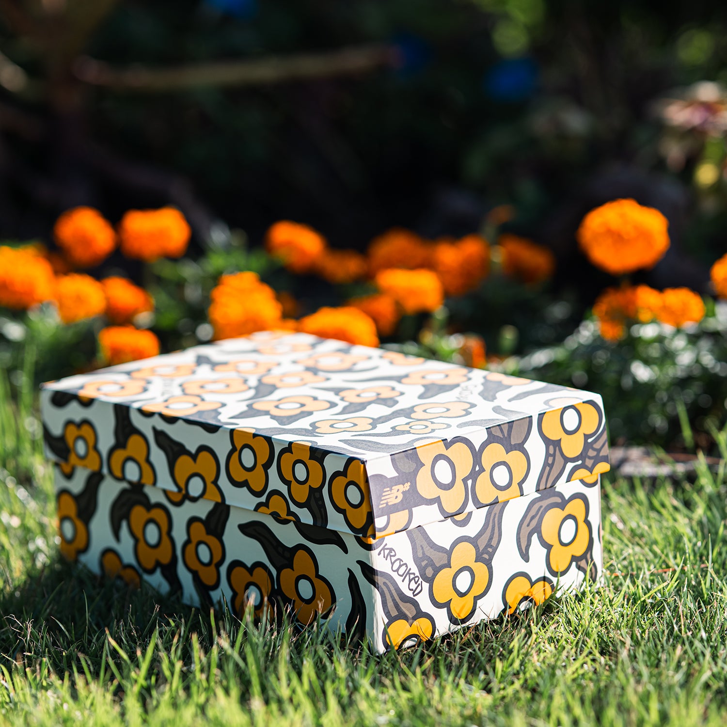 NM600 TOM KNOX X KROOKED