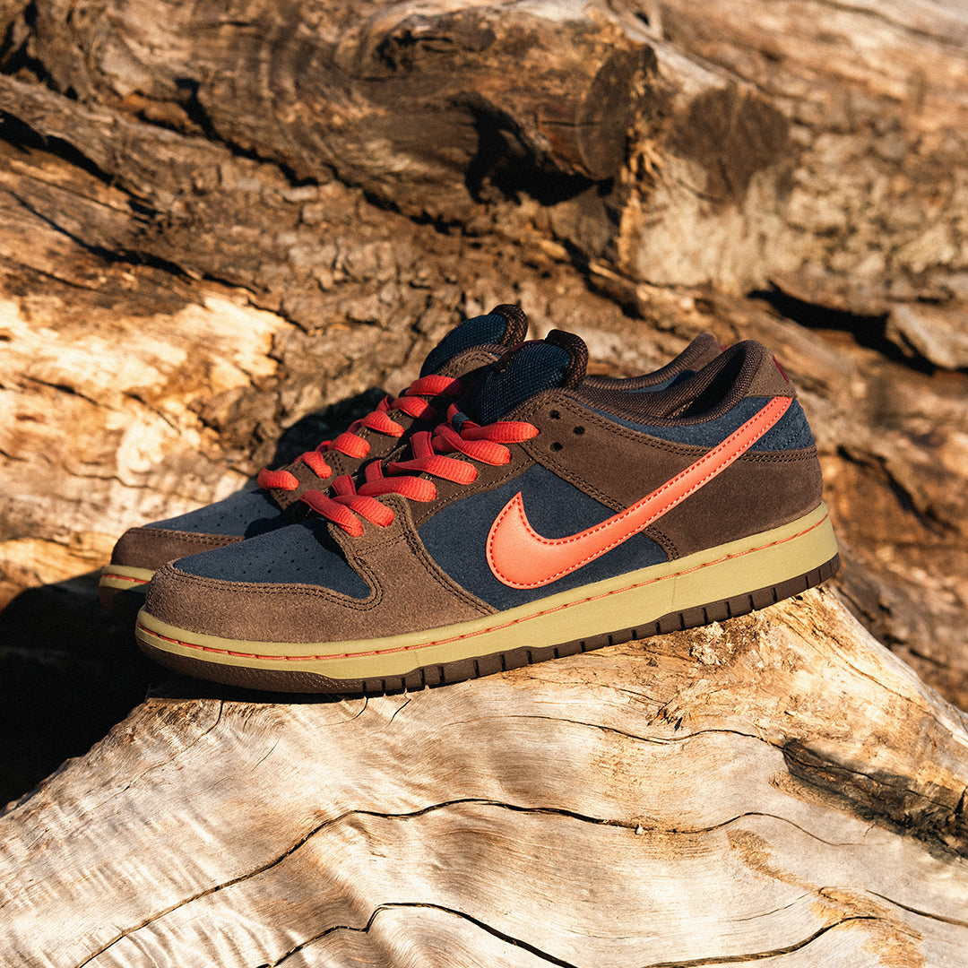 NIKE SB（ナイキ スケートボーディング）| NIKE SB DUNK LOW PRO